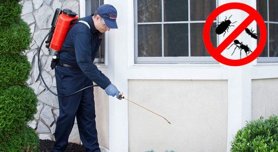 Sivrihisar Akrep İlaçlama böcek ilaçlama ve haşere kontrolü — ilaclama-tr.com
